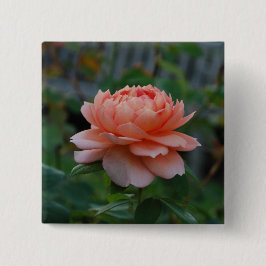 Chapa Cuadrada En la floración