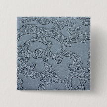 Encharcadas de lluvia