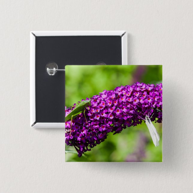 Chapa Cuadrada energía katydid (Anverso y reverso)