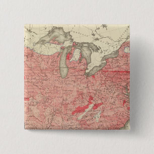 Chapa Cuadrada Enfermedades intestinales mueren en Estados Unidos