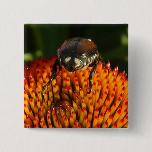 Chapa Cuadrada Error en la flor