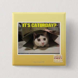 Chapa Cuadrada ¿Es Caturday?