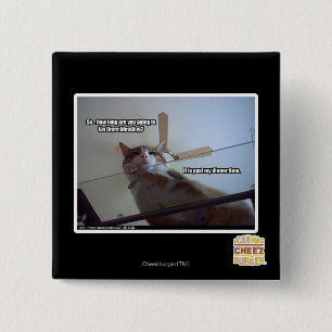 Chapa Cuadrada Es más allá de mi tiempo de cena