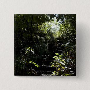 Chapa Cuadrada Escalera/sendero rústicos en el bosque, luz del