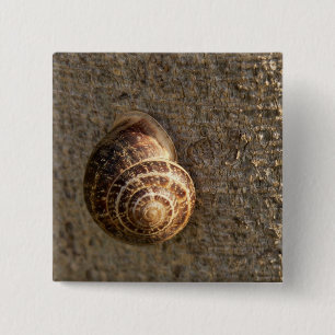 Chapa Cuadrada Escarnio