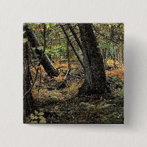Escena forestal de otoño