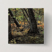 Escenario forestal de otoño