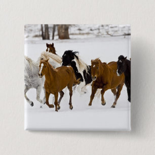 Chapa Cuadrada Escenario invernal de caballos en carrera