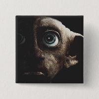 Espadas mortales - Dobby