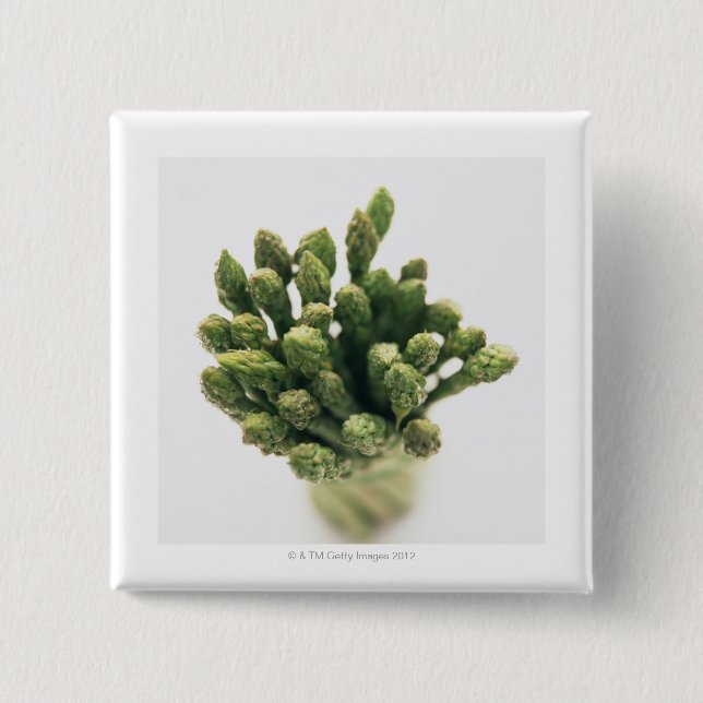 Chapa Cuadrada Espárrago verde (Anverso)