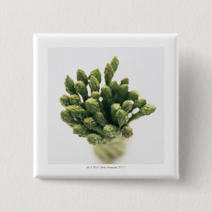 Chapa Cuadrada Espárrago verde