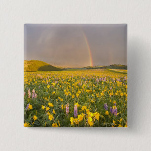 Chapa Cuadrada Espectacular prado de flores silvestres al amanece