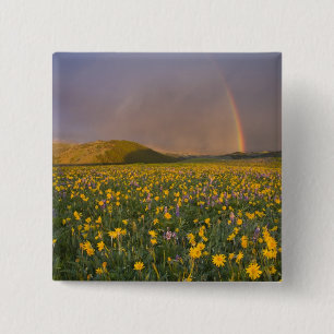 Chapa Cuadrada Espectacular prado de flores silvestres al amanece