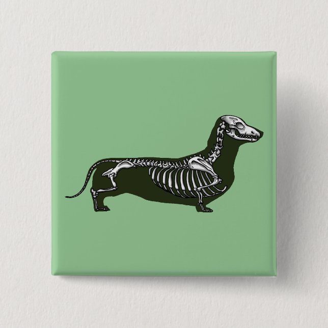 Chapa Cuadrada esqueleto del dachshund (Anverso)
