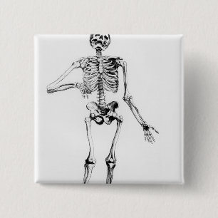 Chapa Cuadrada Esqueleto humano