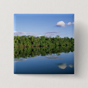 Chapa Cuadrada Estado de Mato Grosso, Amazonia, Brasil. Boscoso