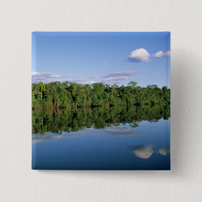 Chapa Cuadrada Estado de Mato Grosso, Amazonia, Brasil. Boscoso (Anverso)