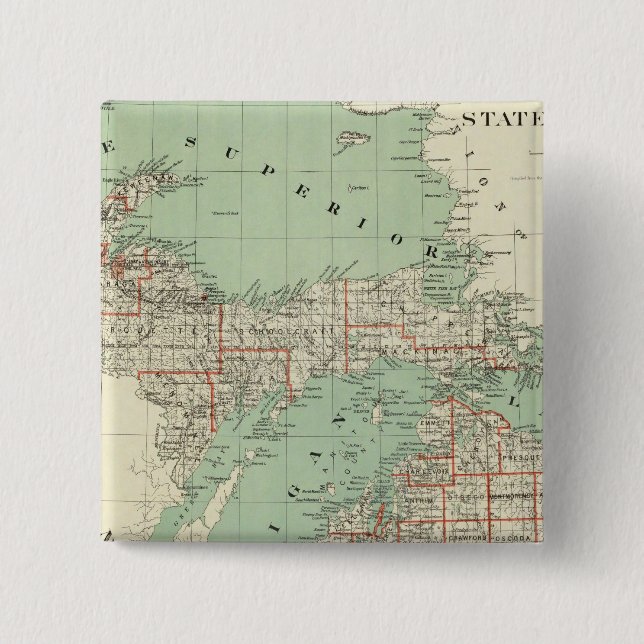 Chapa Cuadrada Estado de Michigan (Anverso)