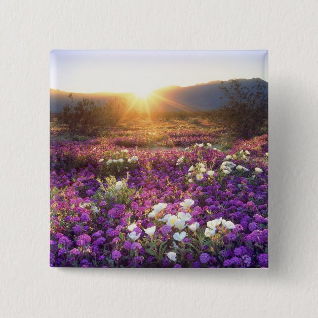 Chapa Cuadrada Estados Unidos, California, Parque Estatal del Des (Anverso)