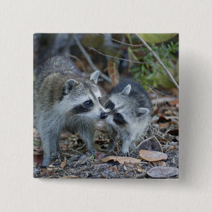 Chapa Cuadrada Estados Unidos, Florida, Sanibel, Ding Darling Nat