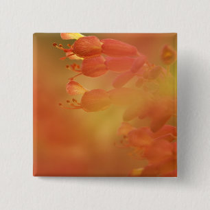 Chapa Cuadrada Estados Unidos Georgia Savannah brockeye abstracto