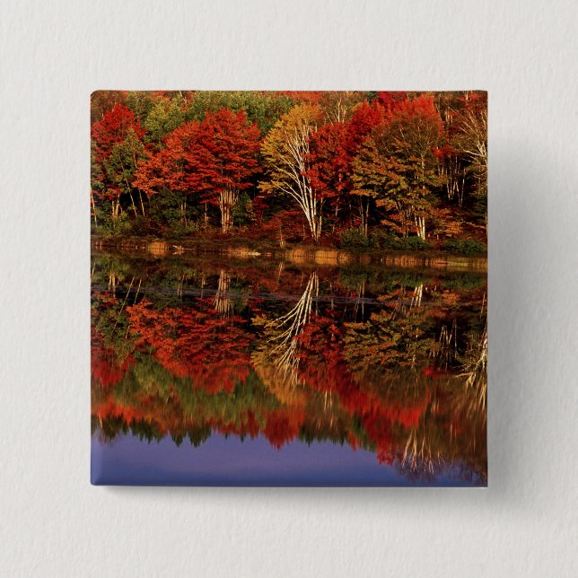 Chapa Cuadrada Estados Unidos, Michigan, Península Alta.Caída (Anverso)