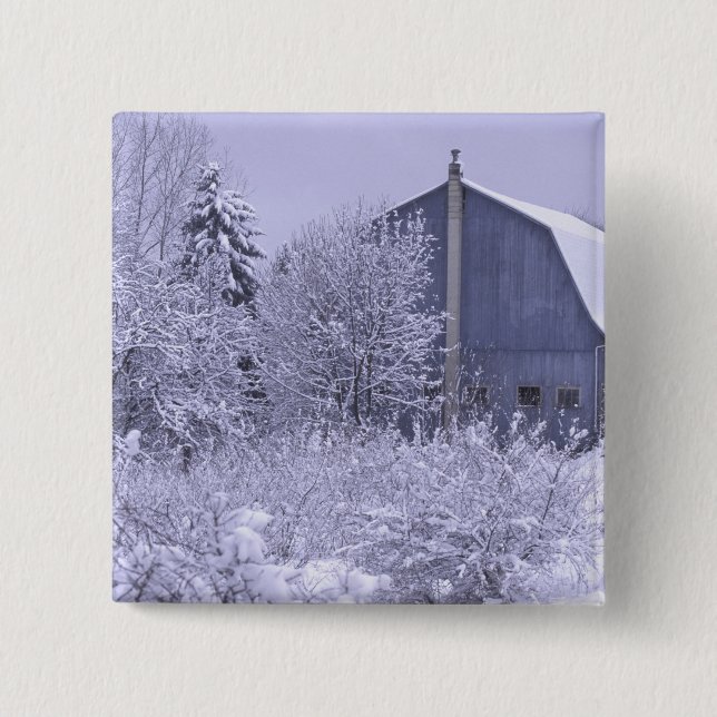 Chapa Cuadrada Estados Unidos, Michigan, Rochester Hills. Azul ne (Anverso)