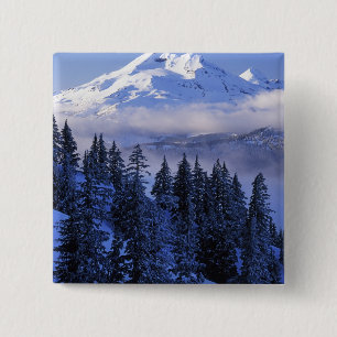 Chapa Cuadrada Estados Unidos, Oregón, Bosque Nacional Deschutes,