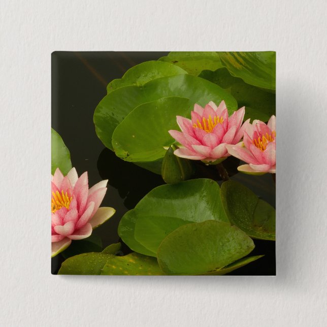 Chapa Cuadrada Estados Unidos, Washington, Kenilworth 4 (Anverso)