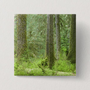 Chapa Cuadrada Estados Unidos, Washington, Parque Nacional Olímp