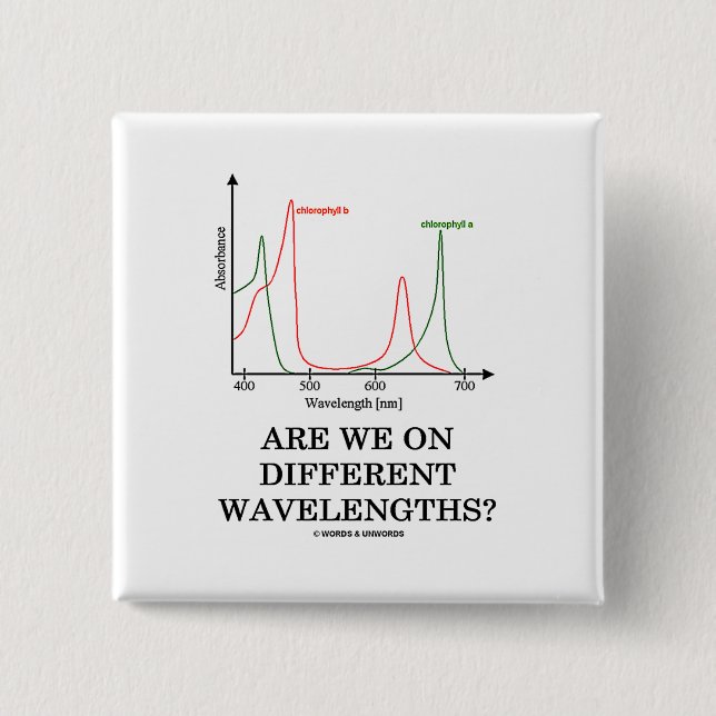 Chapa Cuadrada ¿Estamos en diversas longitudes de onda? (Anverso)