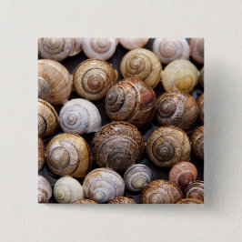 Chapa Cuadrada Estanques de caracol