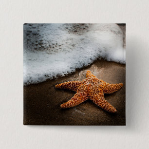 Chapa Cuadrada Estrellas de mar solas en la playa