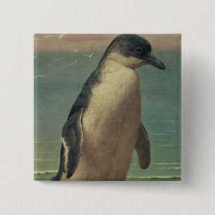 Chapa Cuadrada Estudio de un pingüino