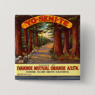 Chapa Cuadrada Etiqueta de Naranja de tipo Yo-Semi-Te