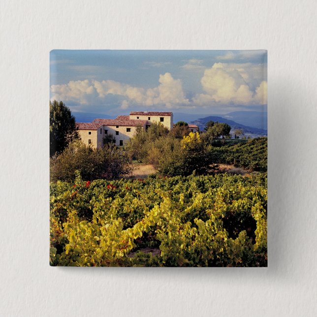 Chapa Cuadrada Europa, Francia, Bonnieux. Los viñedos cubren (Anverso)