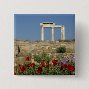 Chapa Cuadrada Europa, Grecia, Cícladas, Delos. Ruinas de columna