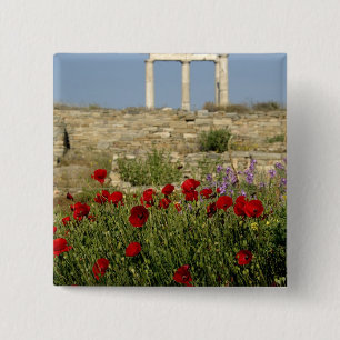 Chapa Cuadrada Europa, Grecia, Cícladas, Delos. Ruinas de columna