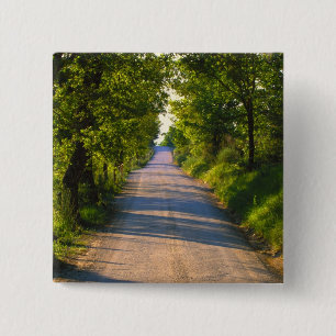 Chapa Cuadrada Europa, Italia, Toscana, carretera arbolada