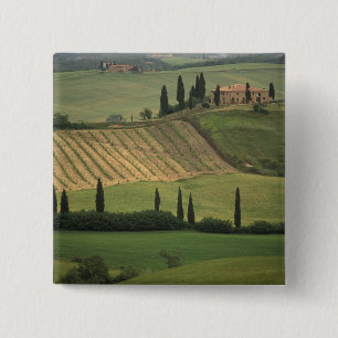 Chapa Cuadrada Europa, Italia, Toscana, Val d'Orcia, Toscano