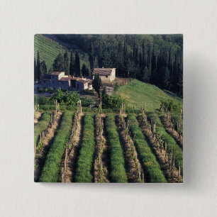 Chapa Cuadrada Europa, Italia, Toscana. Villa escénica chipre.