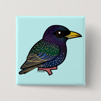 Chapa Cuadrada Europeo Starling de Birdorable