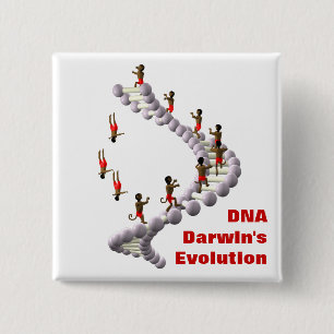 Chapa Cuadrada Evolución de la DNA Darwin