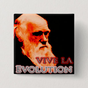 Chapa Cuadrada Evolución Redoux del La de Vive