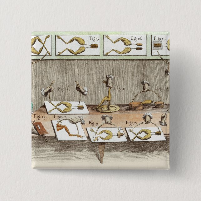 Chapa Cuadrada Experimento en ranas (Anverso)