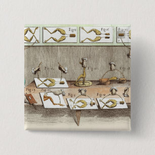 Chapa Cuadrada Experimento en ranas