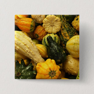 Chapa Cuadrada Fall Gourds