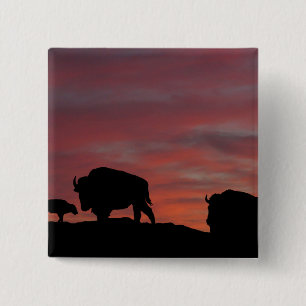 Chapa Cuadrada Familia Bison