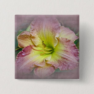 Chapa Cuadrada Fancy Pink Daylily Blossom