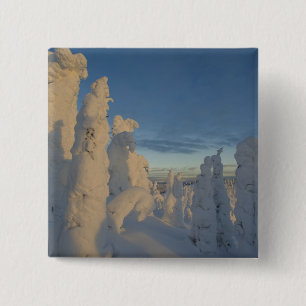 Chapa Cuadrada Fantasmas de nieve al atardecer en Whitefish Mount